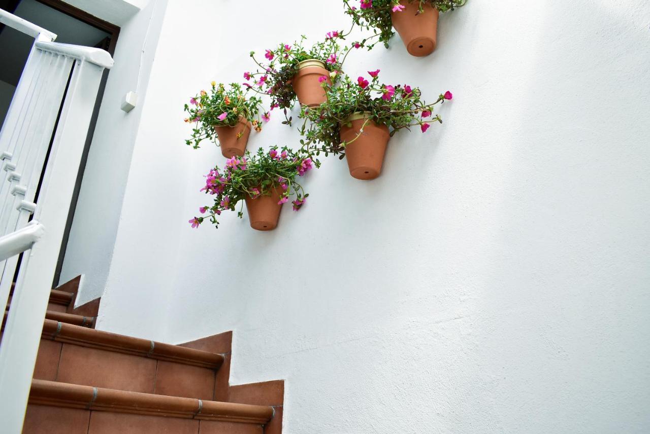 Apartamento Casa Calma Ronda Estudio Exterior foto